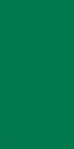 LAMINADO DECORATIVO FORMIPAK VERDE AMAZON TEXTURA 1.22 m X 2.44 m X 0.8 mm