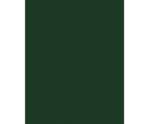 LAMINADO DECORATIVO FORMIPAK VERDE FOREST BRILLANTE 1.22 m X 2.44 m X 0.7 mm
