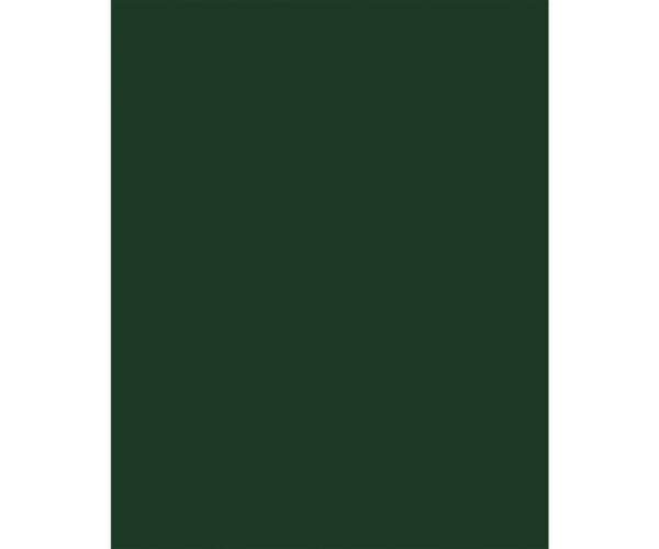 LAMINADO DECORATIVO FORMIPAK VERDE FOREST BRILLANTE 1.22 m X 2.44 m X 0.7 mm