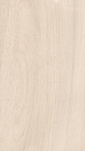LAMINADO DECORATIVO FORMIPAK ROBLE BLANCO BRILLANTE 1.22 m X 2.44 m X 0.6 mm